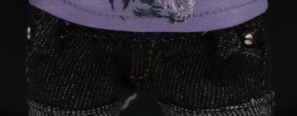 Close-up of a labubu wearing a purple vest and black jeans