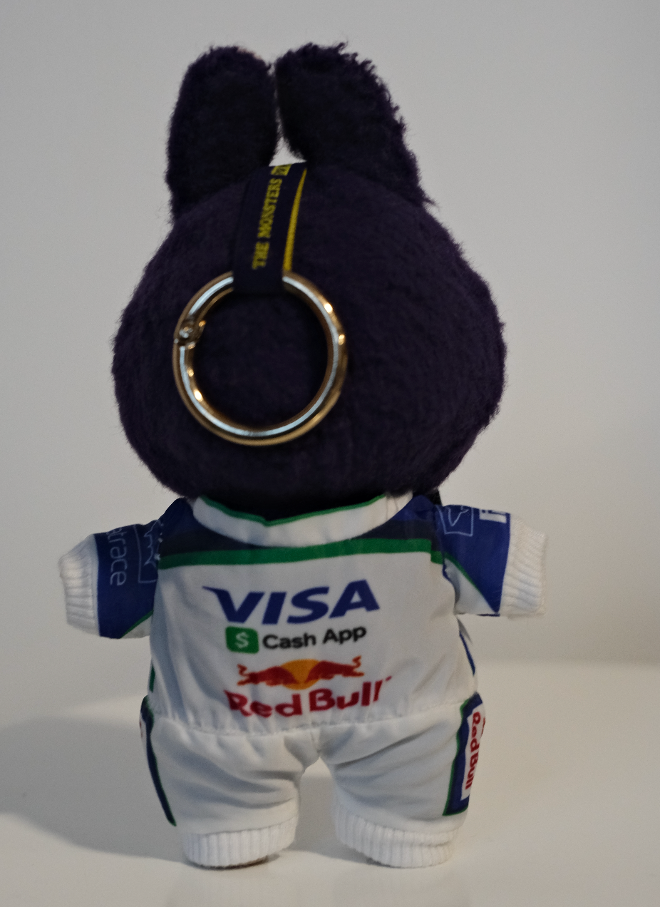 Custom Order | Labubu Clothes  | Labubu Outfit | Arvid Lindblad F1 Redbull Racing Suit (Doll Not Included)
